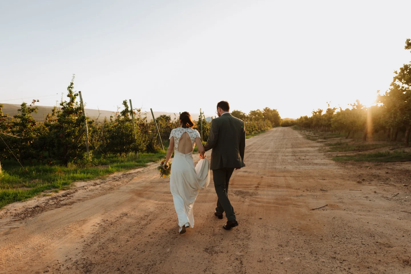 Bride and groom walking away down a dirt road between the orchards towards the setting sun, Old Mac Daddy, Elgin Valley