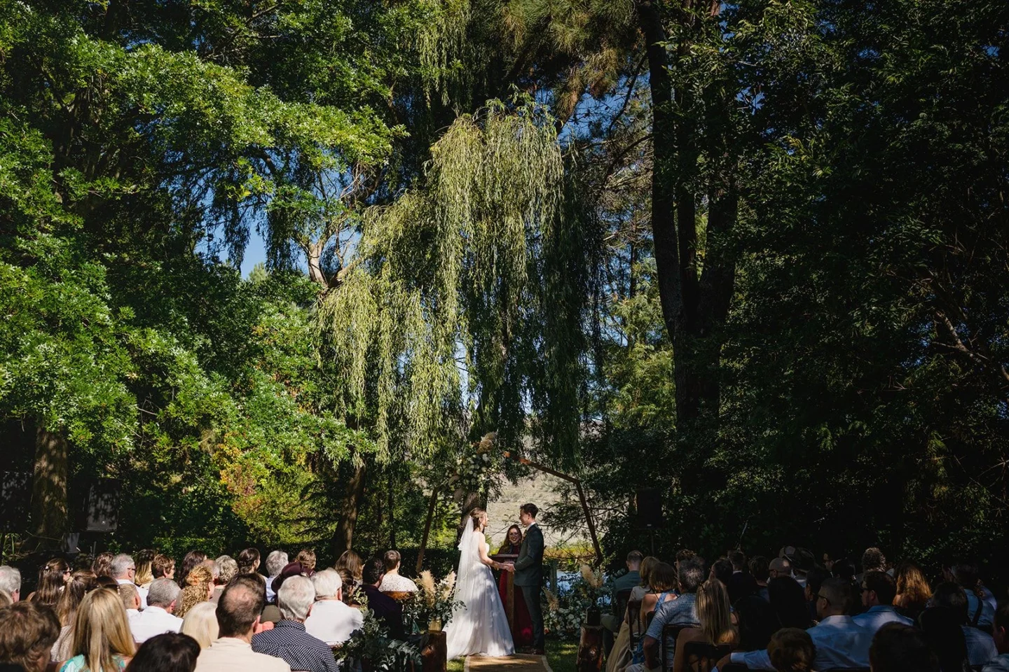 Guests seated under the willow trees, the bride and groom at the front of the ceremony, Old Mac Daddy, Elgin Valley