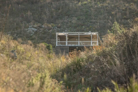 Daddy's Hideaway
