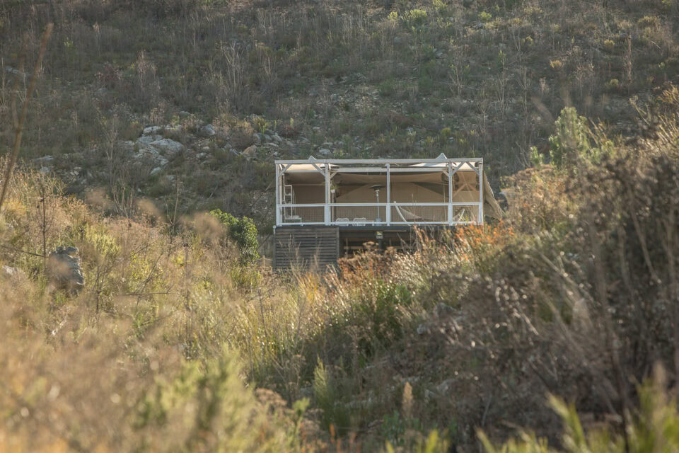 Daddy's Hideaway